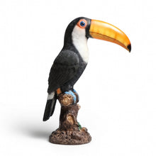 Load image into Gallery viewer, Tropical Expression Toucan Sculpture